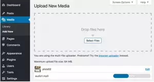 Upload New Media Page